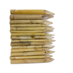 Okk Kana Qalam Packet 15 Reed Pen Low Quality Qalam Set For Practice